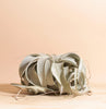 Tillandsia Xerographica Air Plant