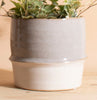 Variegated Ivy in Two-Toned Ceramic Planter